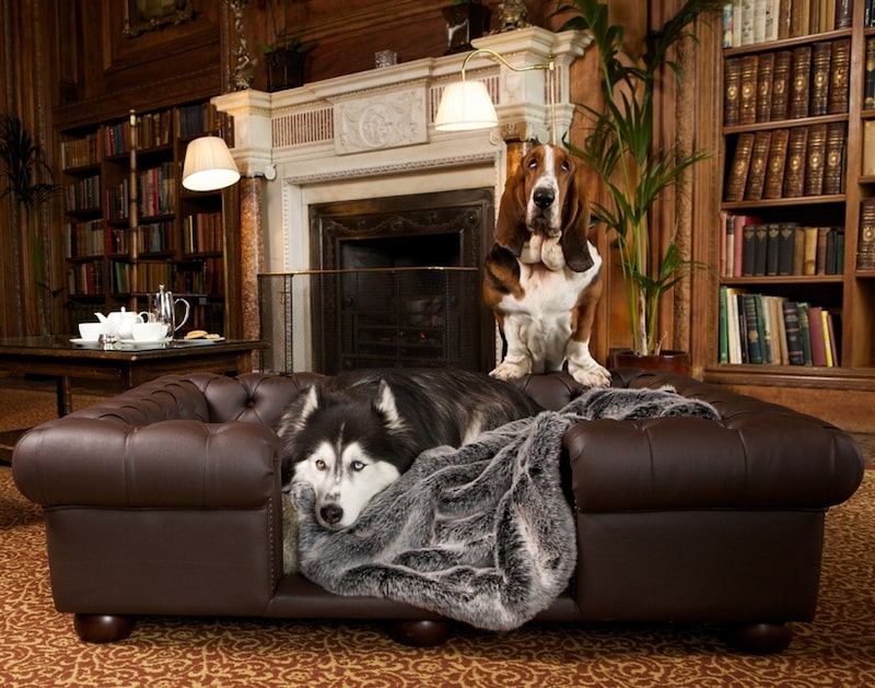 Luxury Hotel Dog Beds