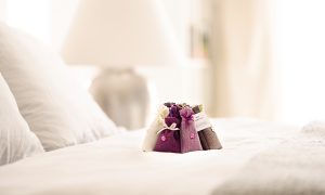 Sustainable Hotel Gifts